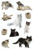 Schmucketikett Katzenfotos 20 Stück