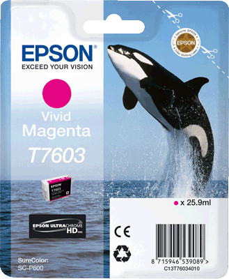 Epson Tintenp. T76034010 T7603 magenta magenta Epson SureColor P 600