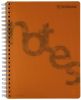 Collegeblock PP Cover A4 kariert orange