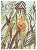 Notizbuch A5 Wild Life Leopard