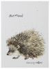 Freundebuch Igel Save me No.2 weiß